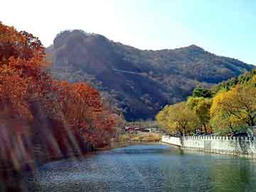 正新澳门二四六天天彩，范冰冰苹果